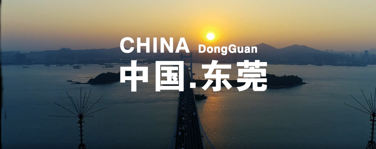 豪门国际28视频